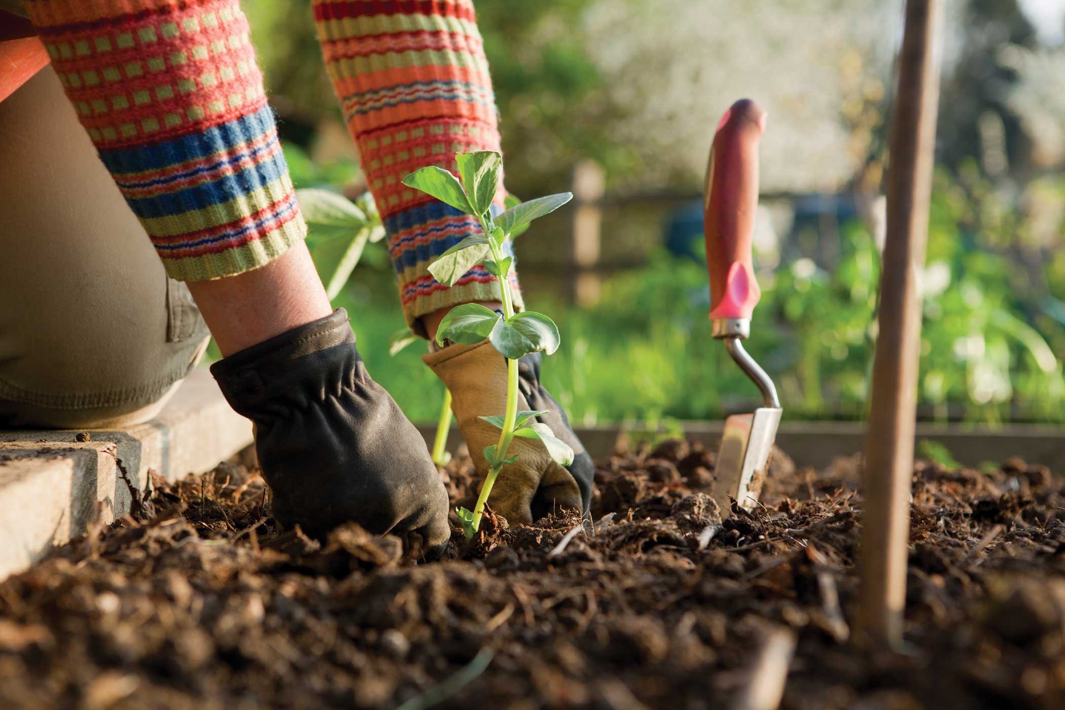 gardening